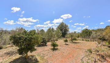 Resa Estate finc for sale Ibiza santa gertrudis te koop spanje garden.jpg